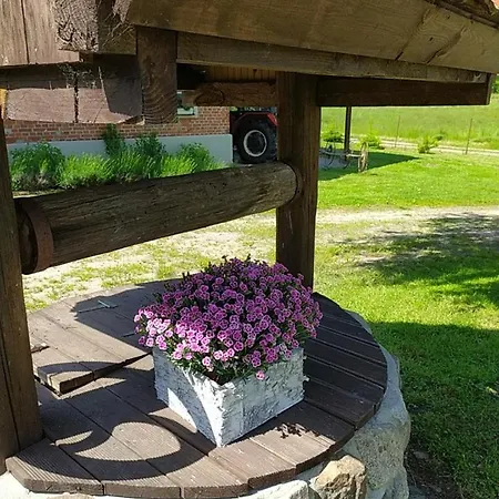 Pod Czaplami *