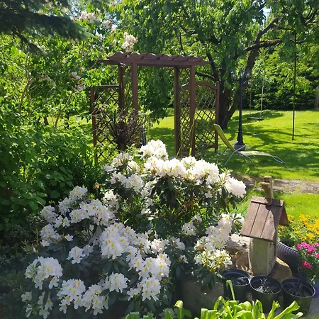 Pod Czaplami Farm stay Pieniezno