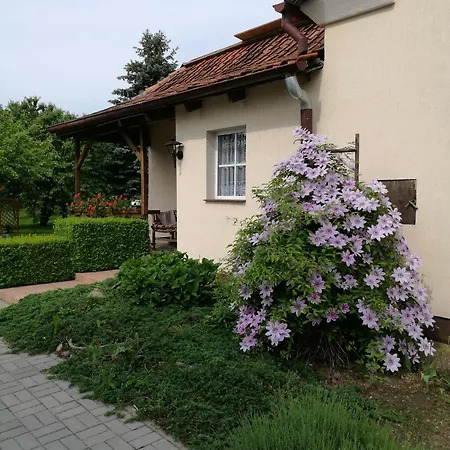 Pod Czaplami Pieniezno
